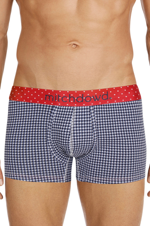  Mitch Dowd French Gingham Contrast Hipster Trunk 