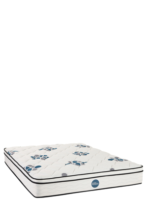 Sleepmaker Mattress - Novice Plush - Miracoil Classic Back Support Collection 